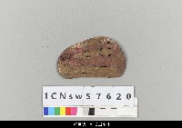 藏品(中國湖北皮影戲盔帽)的圖片